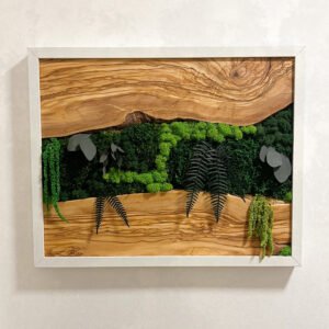 Forma Primaria - 50x40cm